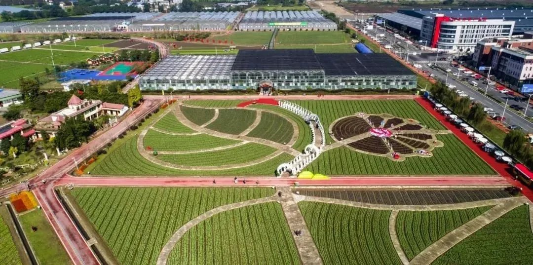两条黄金发展轴线的十字交叉点上，蒙阳新城准备好了 农业开发